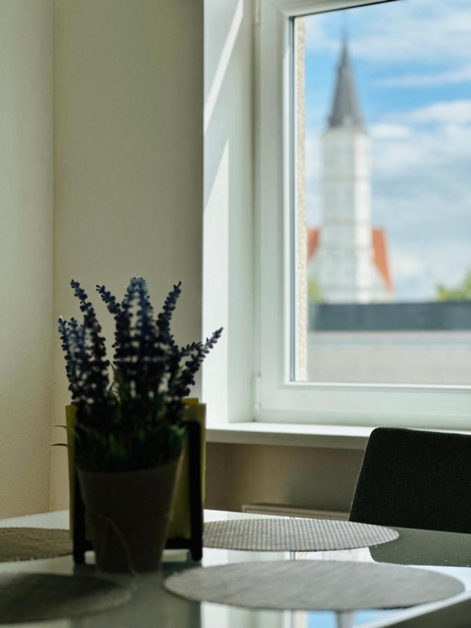 Butas Paciame Siauliu Miesto Centre Apartment โชเล ภายนอก รูปภาพ